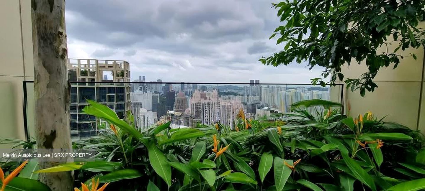 Irwell Hill Residences (D9), Apartment #563309941